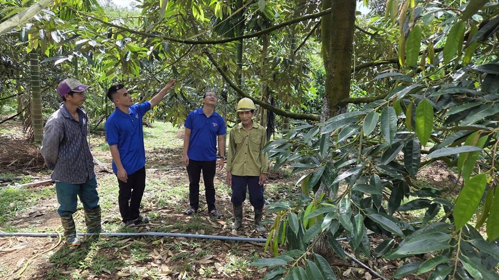 “Chìa khóa” cho lao động nông thôn - ảnh 1
