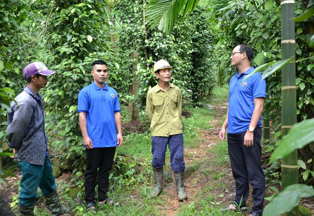 “Chìa khóa” cho lao động nông thôn - ảnh 5