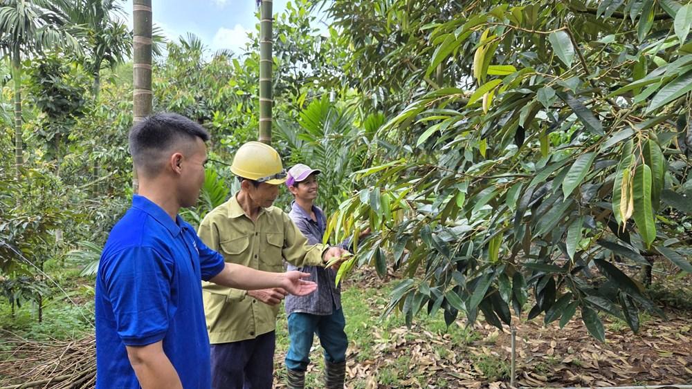 “Chìa khóa” cho lao động nông thôn - ảnh 4